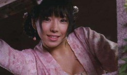 2008金瓶梅在线观看,再现明代风华，在线重温经典